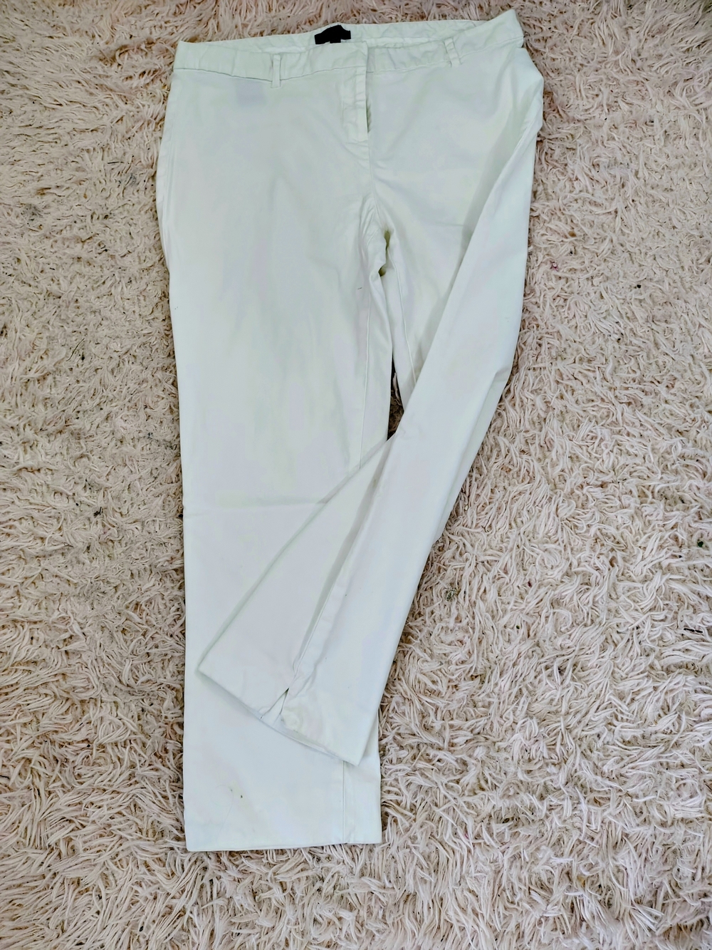 Rafaella Studio Classic Straight Leg Tailored Pants in White 12P